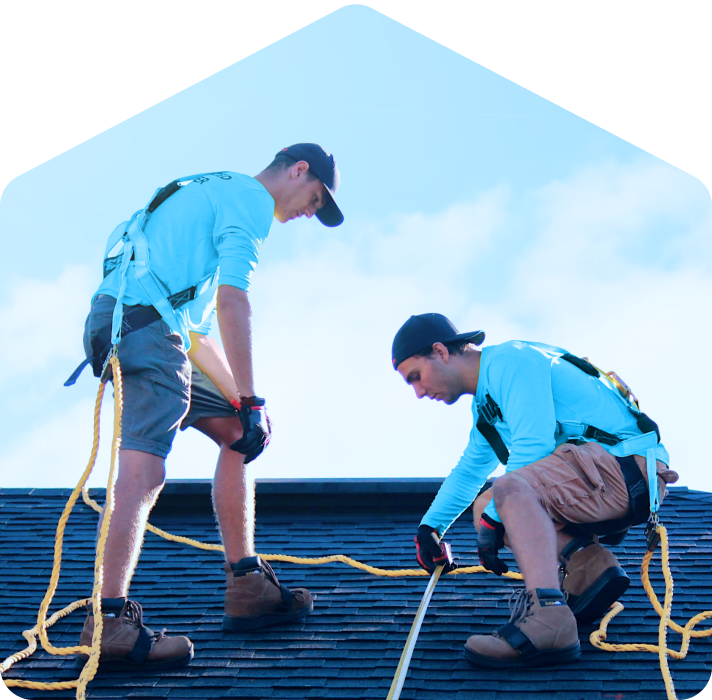 Professional works on the roof