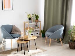 The Cozy Lounge Chair