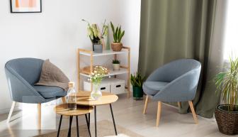 The Cozy Lounge Chair