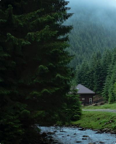 house in the forest