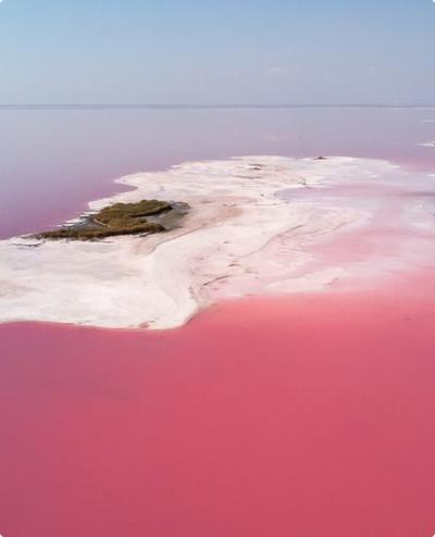 pink lake
